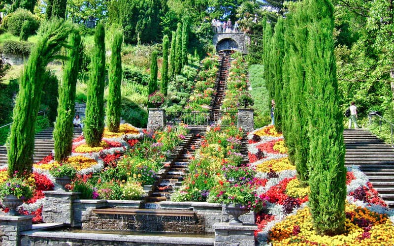 Die Mainau (Blumeninsel)